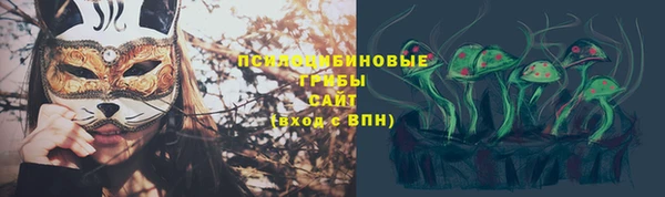 ГАЛЛЮЦИНОГЕННЫЕ ГРИБЫ Волоколамск