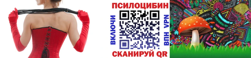 Псилоцибиновые грибы GOLDEN TEACHER Купить закладки Великие Луки